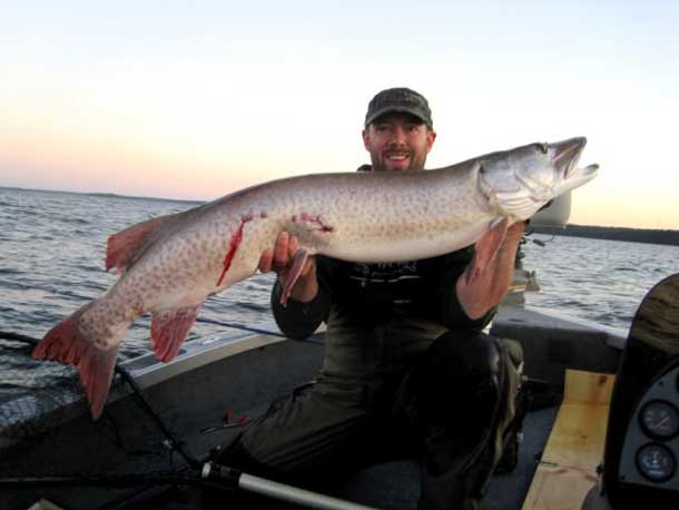 This morning at Brian Skaife from Janesville, Wisconsin caught a big Musky at Colegrove's Eagle Lake Lodge