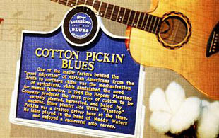Hopson Plantation Cotton Picking Blues