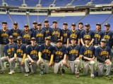 Lakehead Baseball