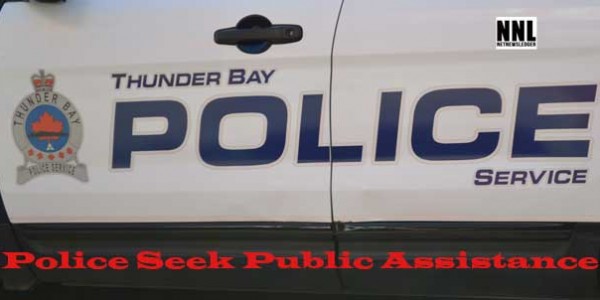 Police Seek Public Assistance in Assault