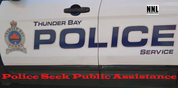 Police Seek Public Assistance in Assault