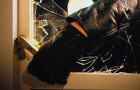 Crime Prevention should not take a holiday on Victoria Day Weekend