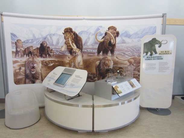 Red Rock Presents Ice Age Mammals