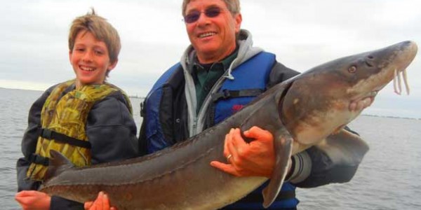 Minnesota Warns on Invasive Species