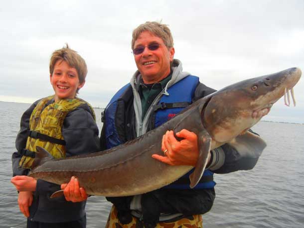 Minnesota Warns on Invasive Species