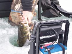 Minnesota DNR Face Conservation Concerns