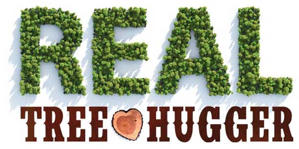 Real Tree-Hugger campaign launched by NOMA