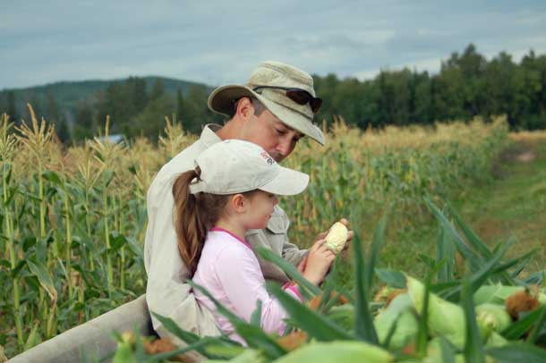 No local sweet corn shortages in Thunder Bay!