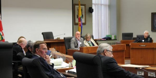 City Council Chambers June 17 2013 - Planning issues