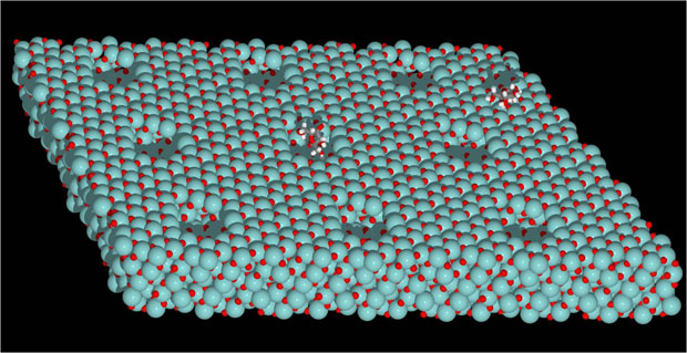 Research continues toward the use of bio-mass