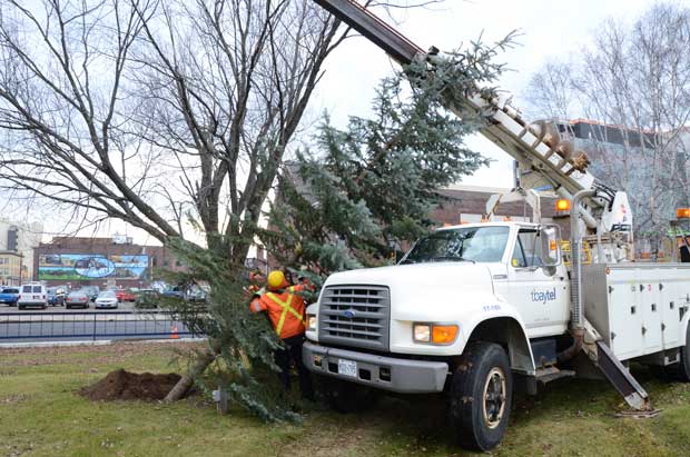 Paterson Park getting prepared for Holiday Fun with 18th Annual Tree Lighting