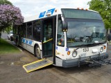 Transit drivers face danger on the job
