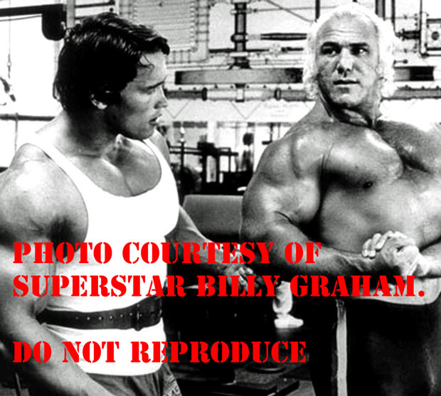 Who is Superstar Billy Graham?
