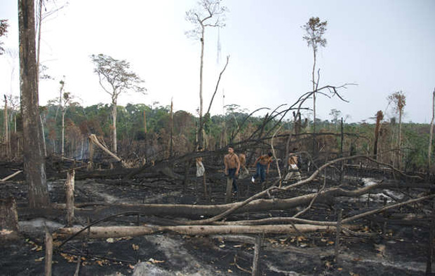 Brazil’s Indian affairs department FUNAI has uncovered shocking evidence