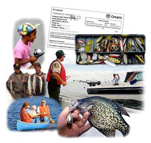 Ministry of Natural Resources laid 20 charges and issued 78 warnings