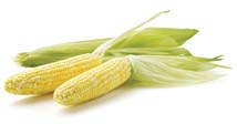 Barbecued Quesadillas with Ontario Sweet Corn