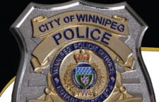 Winnipeg Police release crime statistics