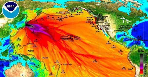 NOAA Image Map of Radiation Fallout from Fukushima Nuclear Disaster