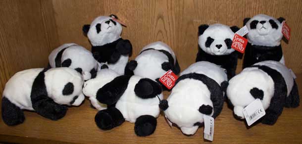 Young people in Fort Severn will soon be cuddling with some cute Telus Panda bears 