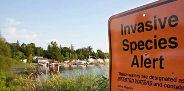 Businesses that are defined by Minnesota law as lake service providers need to have the owner or manager attend aquatic invasive species training and apply for a lake service provider permit every three years.
