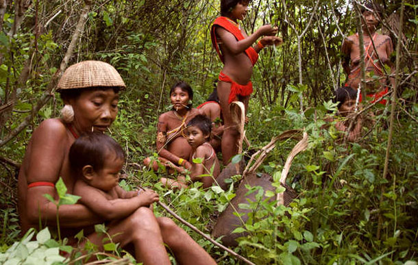Davi Kopenawa's book is an impassioned plea to respect the Yanomami's rights and preserve the Amazon rainforest. © Fiona Watson/Survival