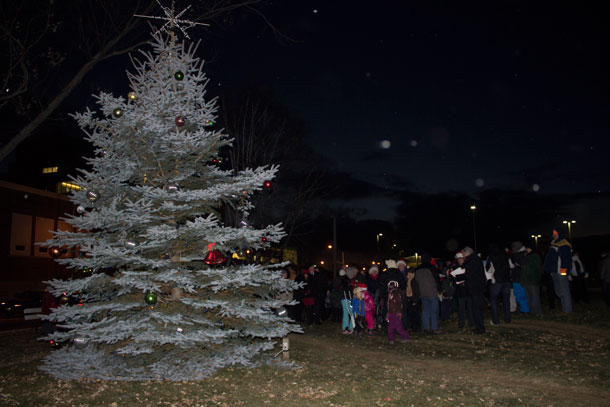 Waiting for the lights on the tree to come on at Paterson Park
