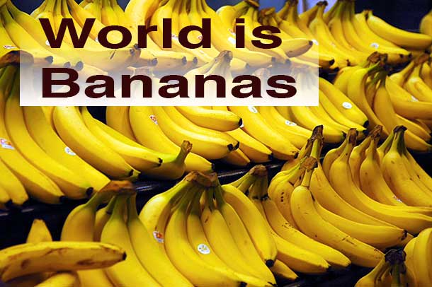The world was not always this bananas.