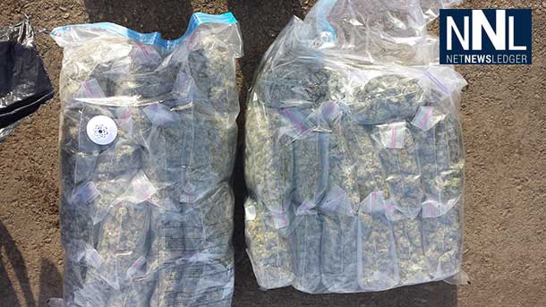 Alberta RCMP have made a major bust and seized 20 pounds of Marihuana