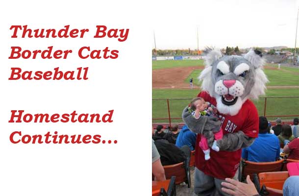 Thunder Bay Border Cats Baseball