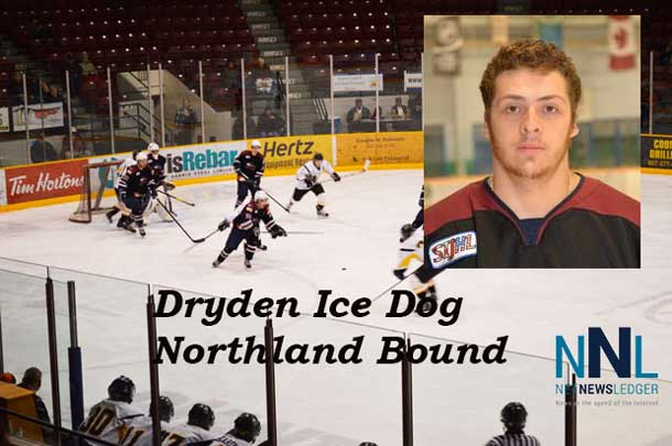 Dryden Ice Dogs