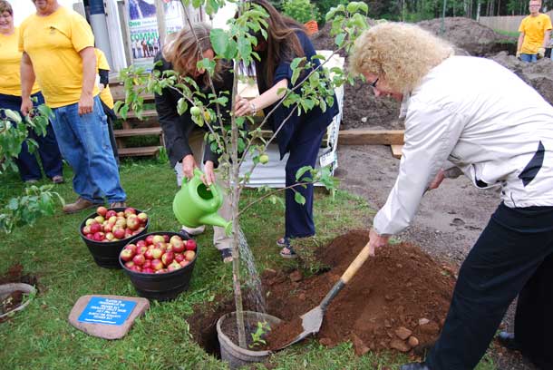 “The final outcome of a healthy apple tree is the fruit it bears, essentially giving back to the environment that created it. Apples on this tree will symbolize Habitat bringing together a community to give back and provide a home to a deserving family, beautifying and building neighbourhoods, and creating healthy, productive citizens. “