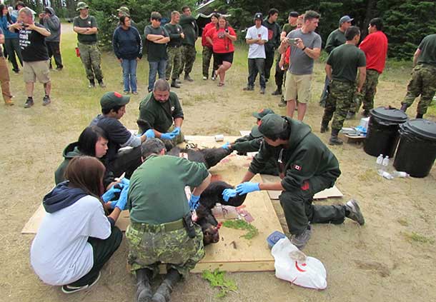 Junior Canadian Rangers help Canadian Ranger and soldier to skin the bear.
