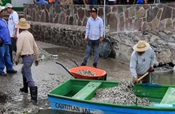 Thousands of fish are dead in this lagoon in Mexico
