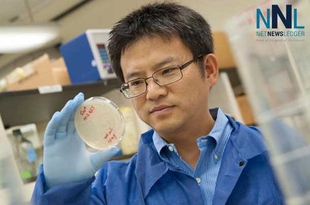 Victor Shengkan Jin says it is important to find a drug for type 2 diabetes that attacks the root cause of the disease and not just symptoms.  Credit: Nick Romanenko/Rutgers University