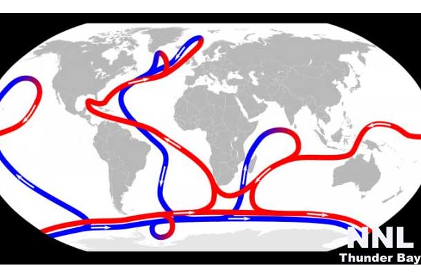The ocean conveyor transports water and heat through the deep ocean basins. Credit: NASA