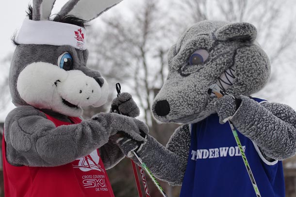 Lakehead University Mascot Wolfie and Klister joust for the cameras - Photo Martin Kaiser