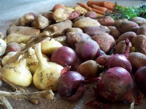 Carrots, onions, beets, and heirloom potatoes can be purchased from Whitefish Valley Vegetables at the Thunder Bay Country Market.