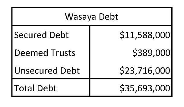 Wasaya Debt