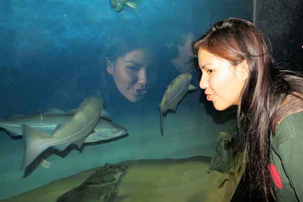 Junior Ranger Kirsten Fiddler, 16, of Sandy Lake is fascinated by the fish at Ripley's Aquarium in Toronto.