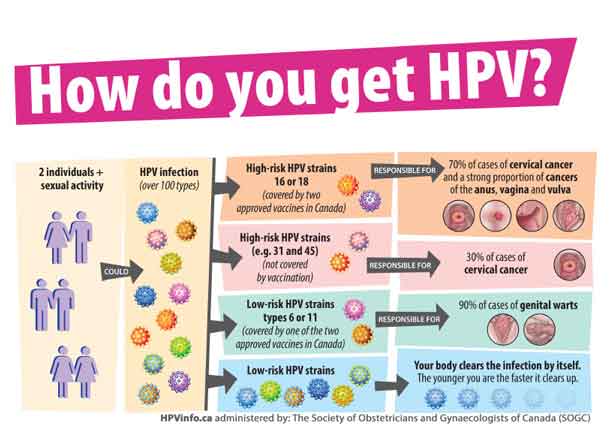 how can you get human papillomavirus