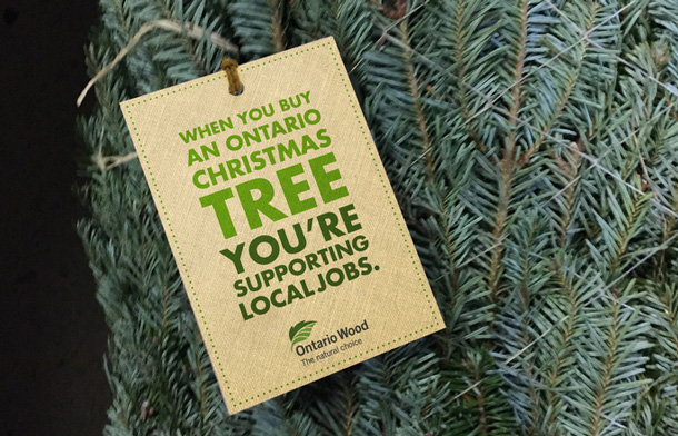 Ontario Christmas Trees