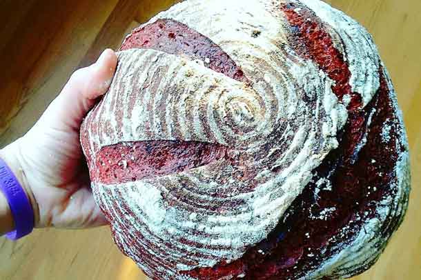 Beet and rye come together to make this bread. Credit: Copyright 2016 Ellie Markovitch