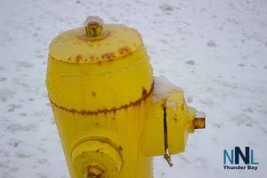 The brightness of the fire hydrant with the stark white of the snow and ice
