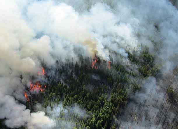 The Aviation, Forest Fire and Emergency Services program in the Northwest Region is dealing with multiple lightning and human-caused fires daily. Fire management personnel are working to assess each fire, take action with ground and air attack as needed and if in a remote location and beneficial to the forest the fire will be monitored.