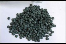 Fentanyl Pills Seized by Thunder Bay Police in Shuniah Drug Raid