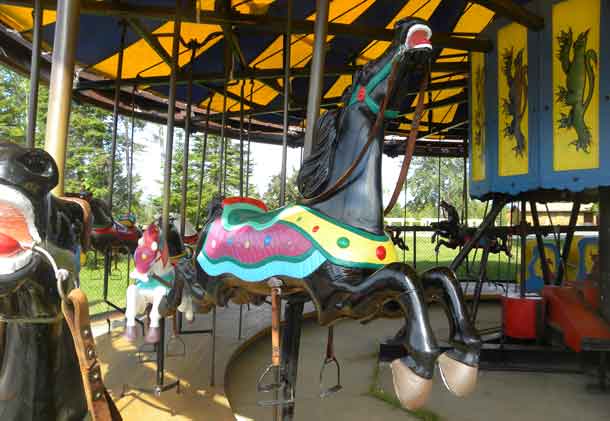 Efforts are underway to make sure the Carousel at Chippewa Park can remain in place making great memories