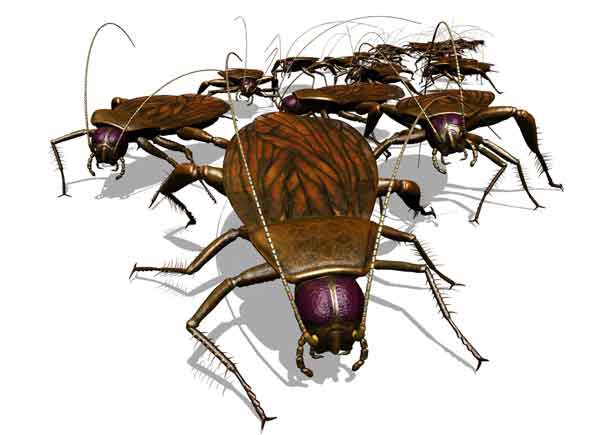 A bug's eye view of an invading army of cockroaches - 3D render. Image by DepositPhotos.com