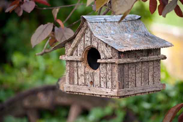 Small wooden bird house with iron roof hanging in cherry tree - Image Depositphotos.com