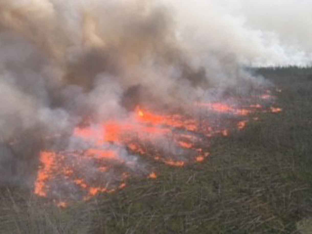 Ignition Fires have been set to hamper the growth of the fire near Pikangikum