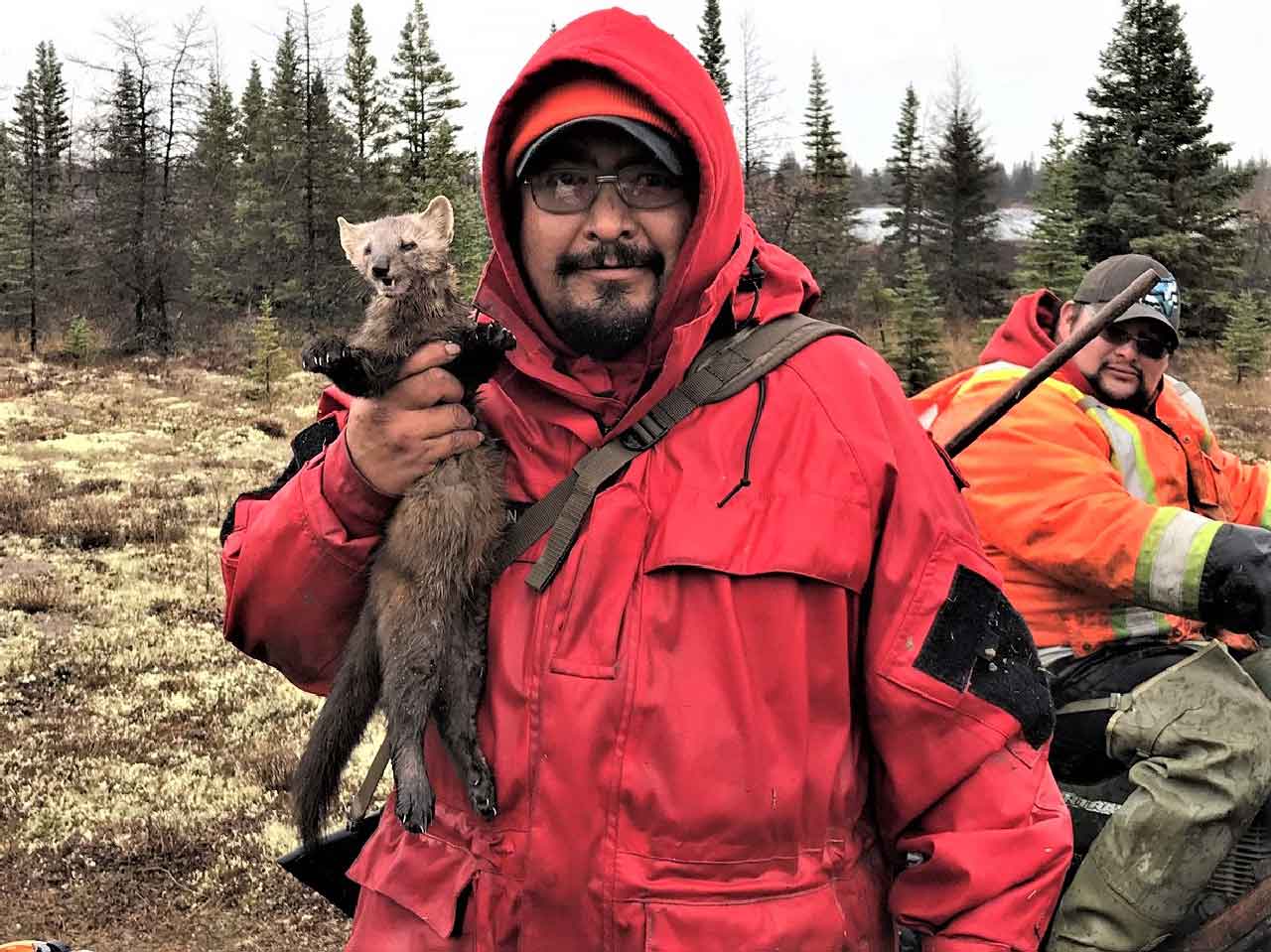 Sergeant Christopher Koostachin, holding a trapped marten,commands the Canadian Ranger patrol in Fort Severn.